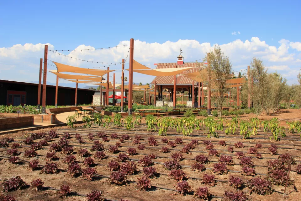 Agriculture Exhibition